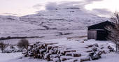 Black Shed cabin under snow