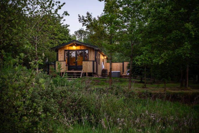 Cabin in woodland with warm lighting 