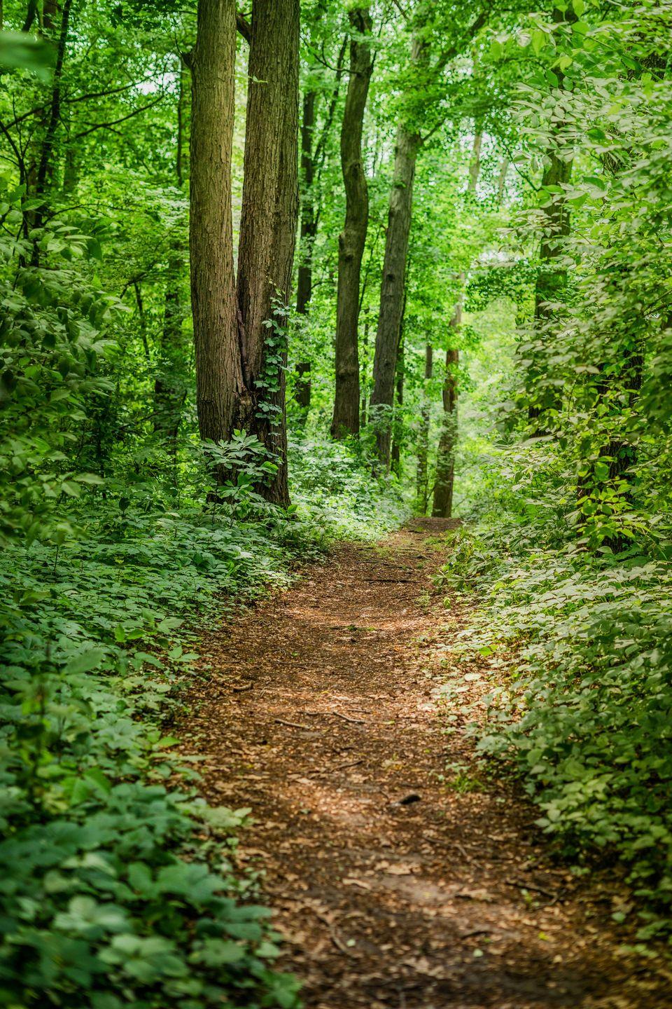 Flora Beverley on why you should start trail running this winter ...