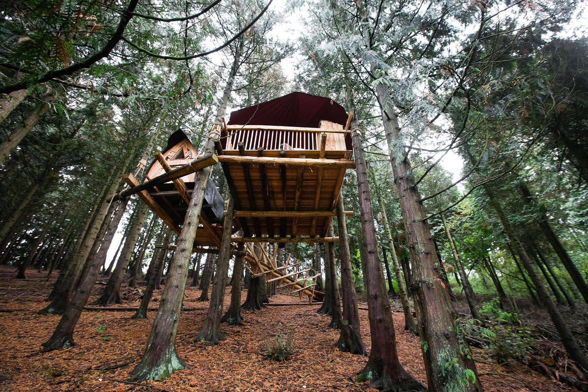 Puckshipton Treehouse