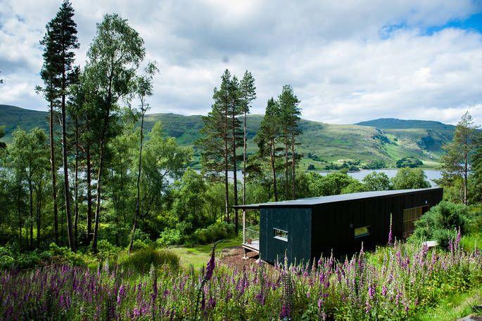 Pine Marten Cabin