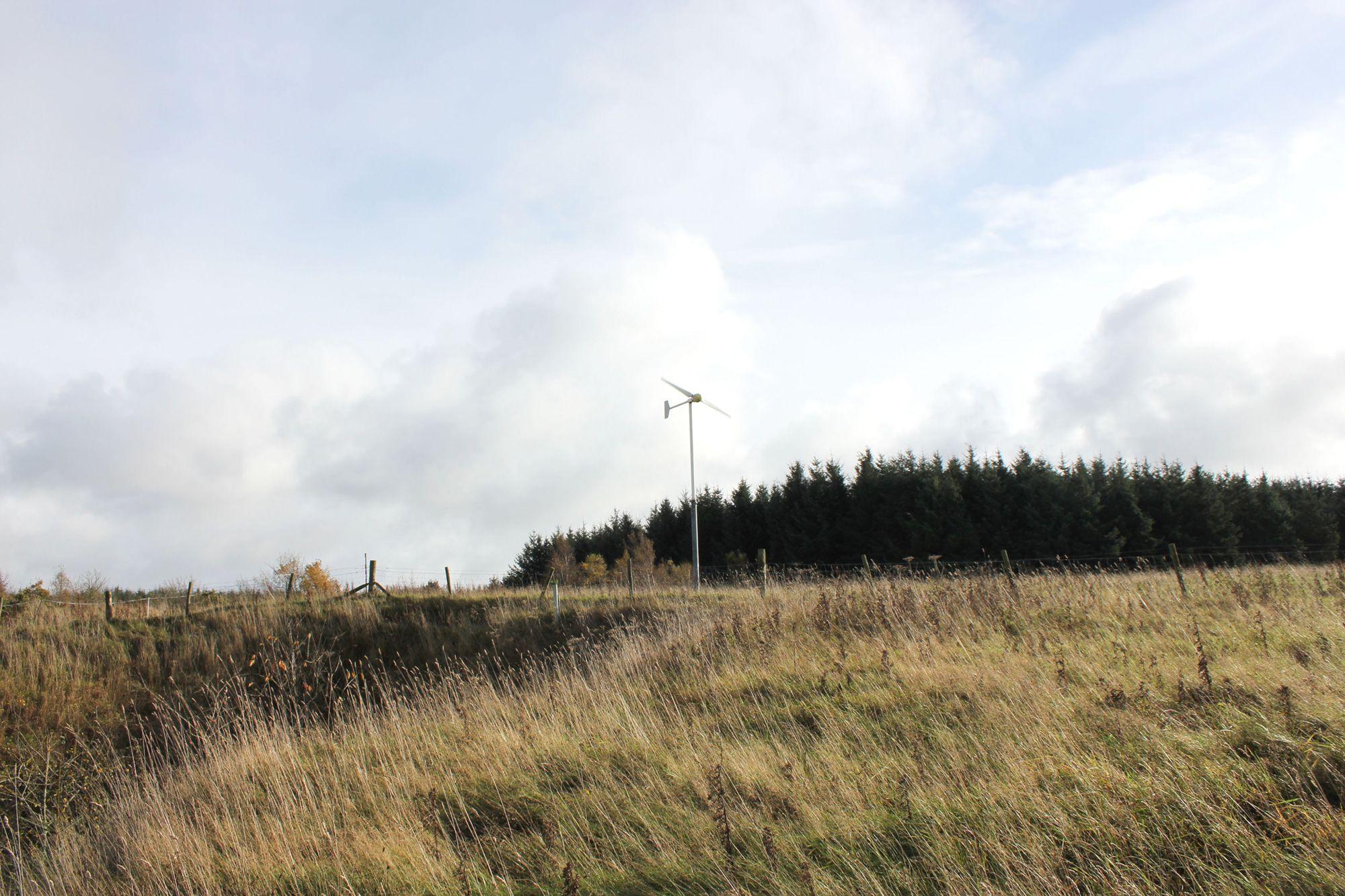 Wind turbine in a field