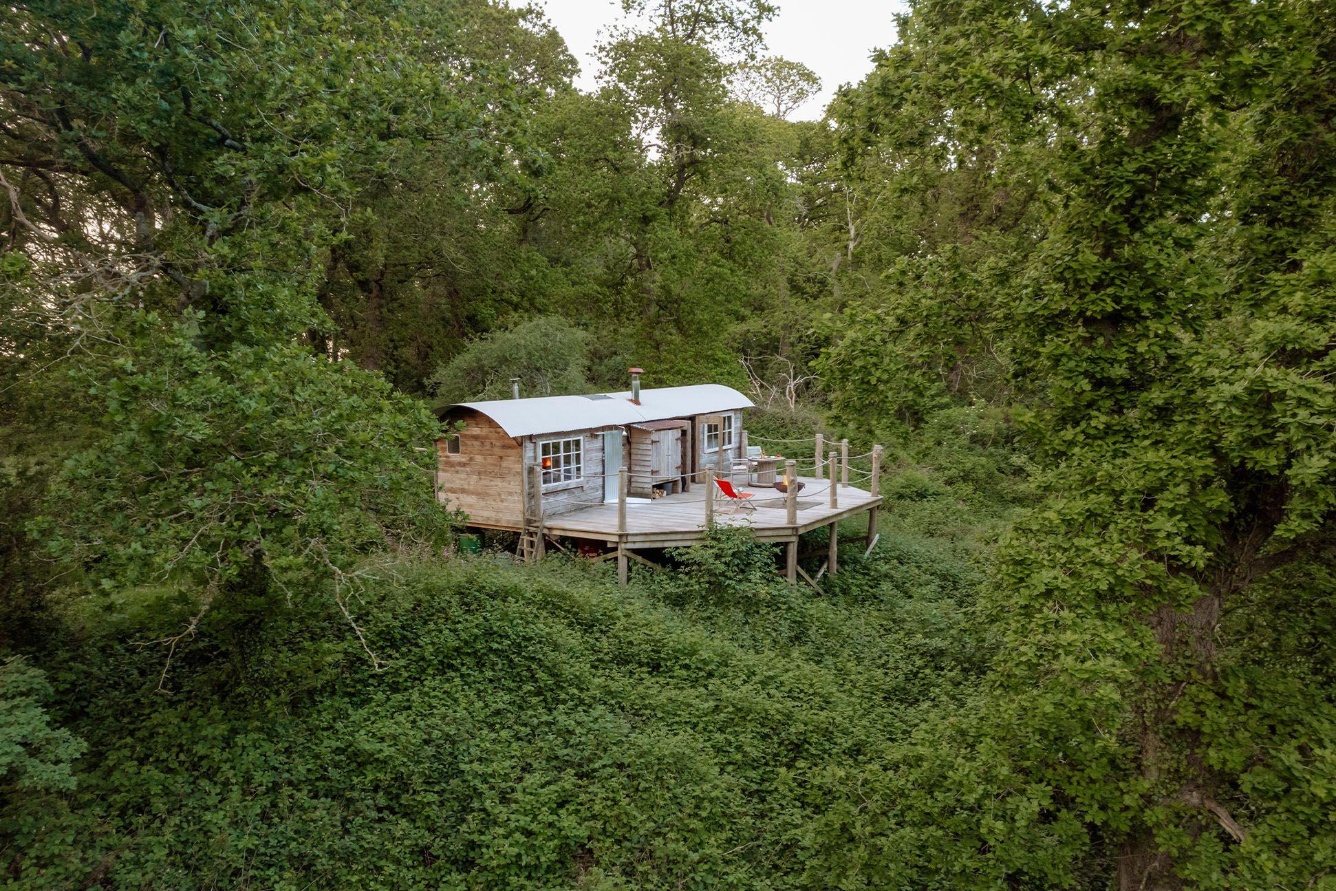 Drone view of a treehouse in the woods