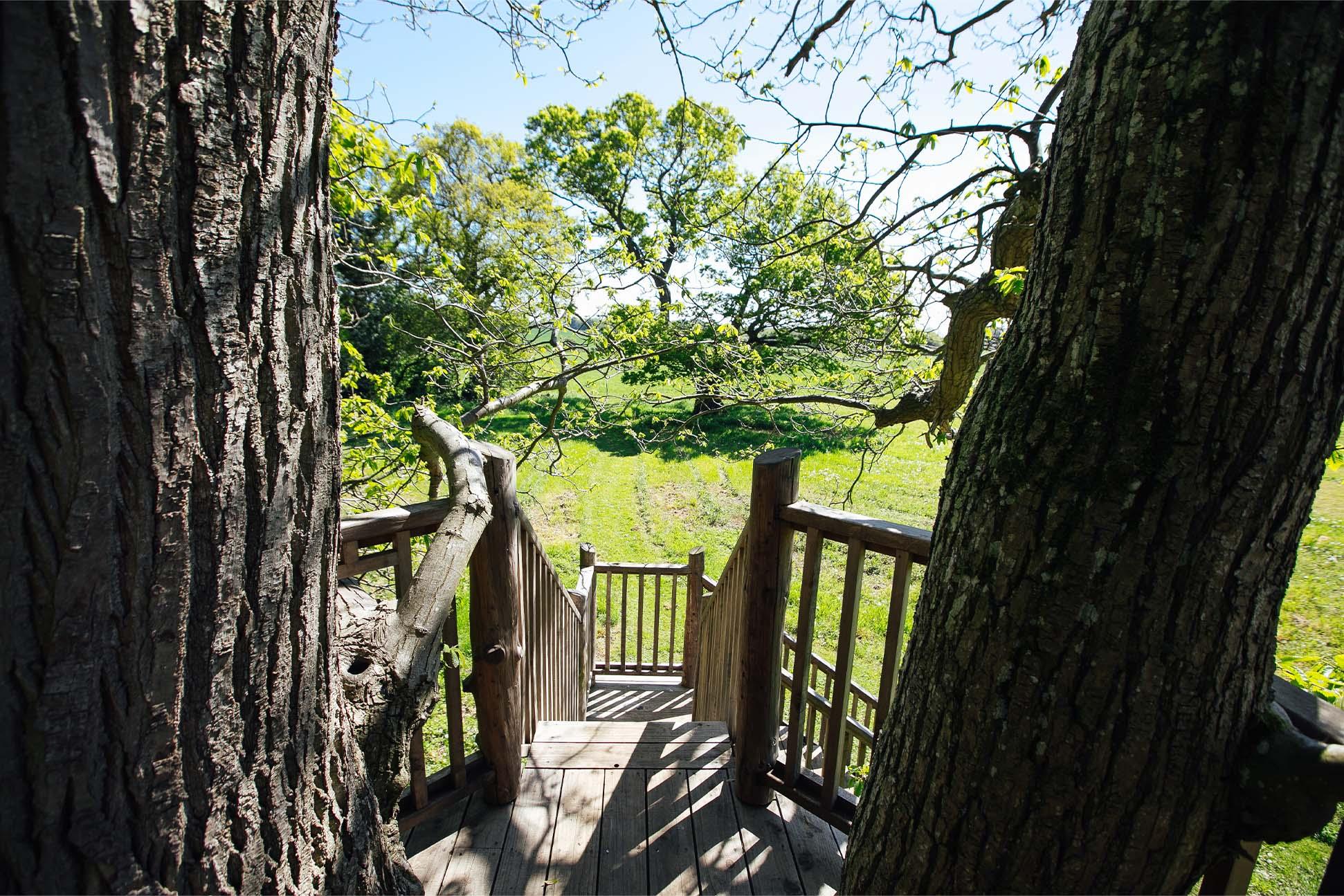 View from the deck of a treehouse