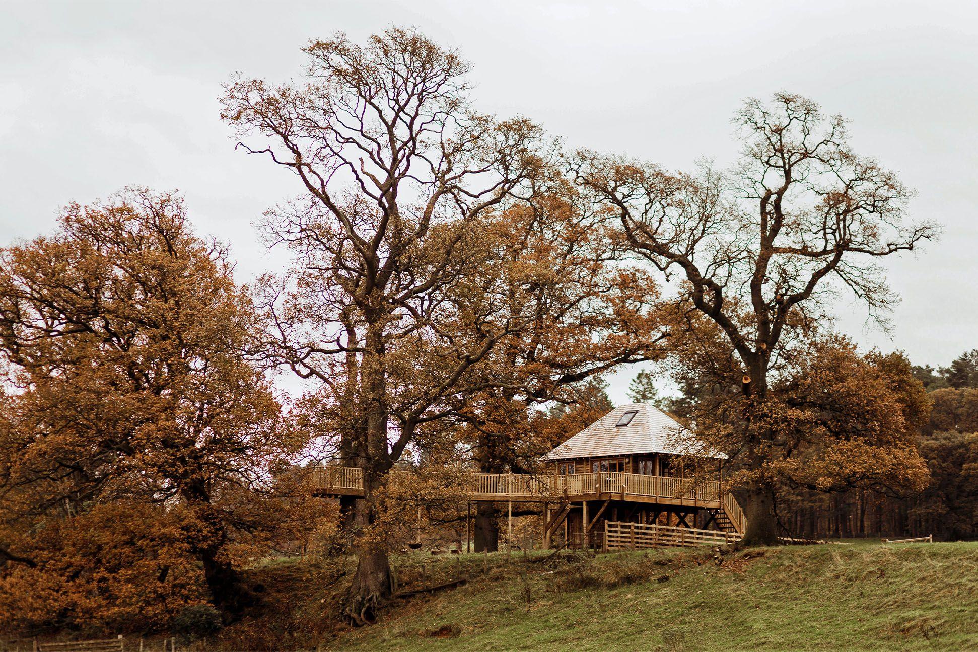 Treehouse in Autumn