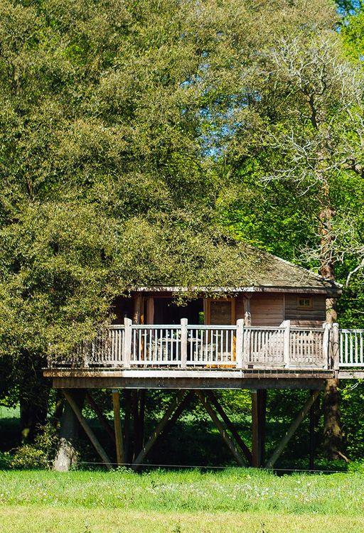 Treehouse in the woods