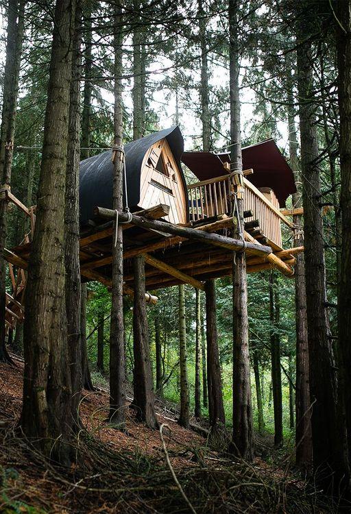 A sustainable travel adventure to Puckshipton Treehouse