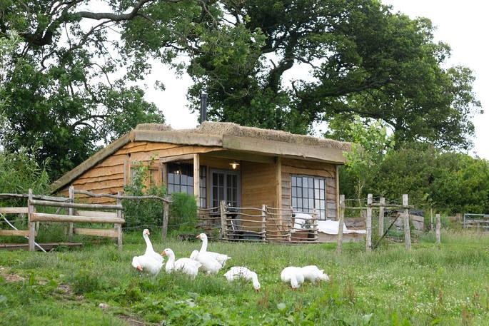 The Gardener’s Shed