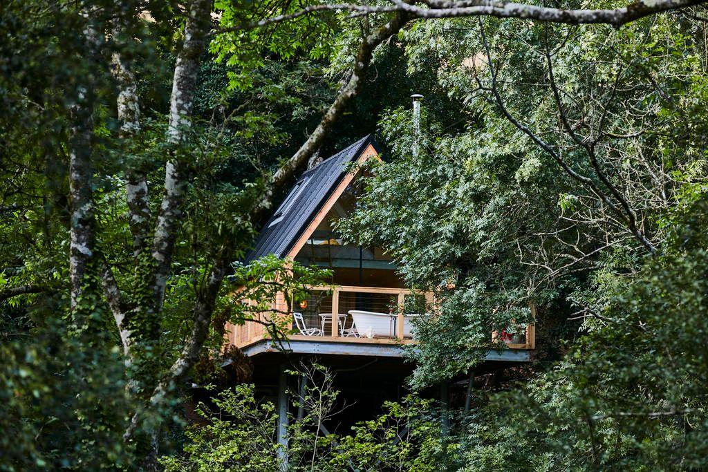 Treehouses in Dartmoor