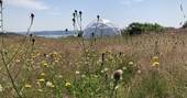 WilderMe geodomes glamping during spring, Kingsand, Cornwall