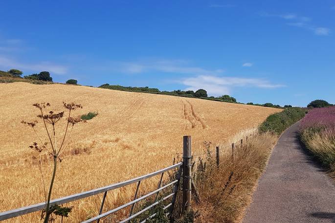 WilderMe geodomes glamping - The field to Maker, Kingsand, Cornwall