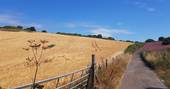 WilderMe geodomes glamping - The field to Maker, Kingsand, Cornwall