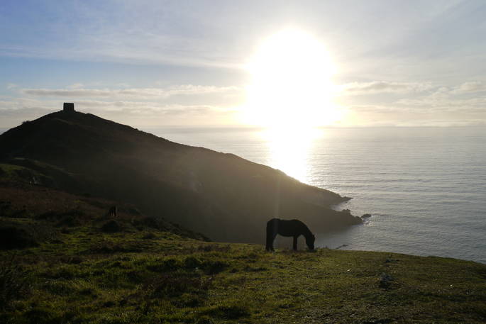 WilderMe geodomes glamping - the sunset and the busy horse, Kingsand, Cornwall