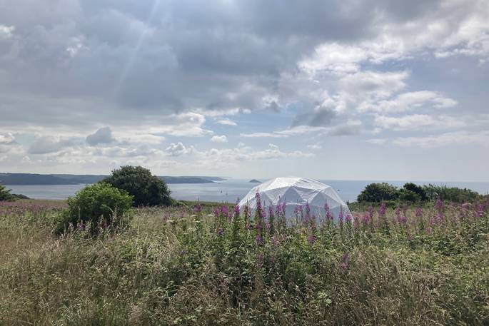 WilderMe geodomes glamping - wild flowers, Kingsand, Cornwall