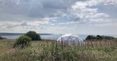 WilderMe geodomes glamping - wild flowers, Kingsand, Cornwall