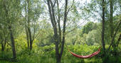 Great Burrow Cottage hammock