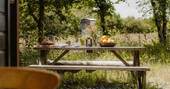 View from picnic bench outside of hut