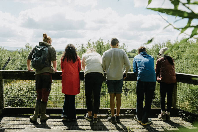 Group on lynx watch