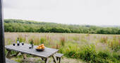 View from picnic bench outside hut