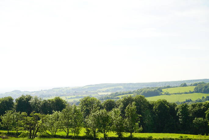 fields view
