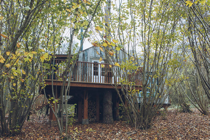 Exterior view of the treehouse