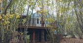 Exterior view of the treehouse