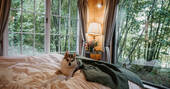 Poppy Treehouse is a pet friendly space