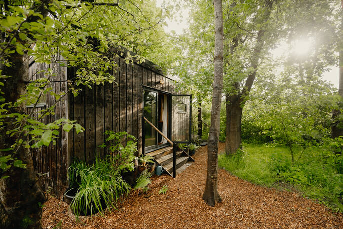 cabin in trees