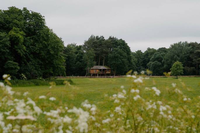 The treehouse is on its private field