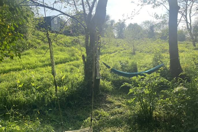 swing and hammock