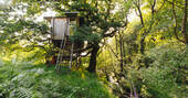 Beudy Banc Treehouse in forest