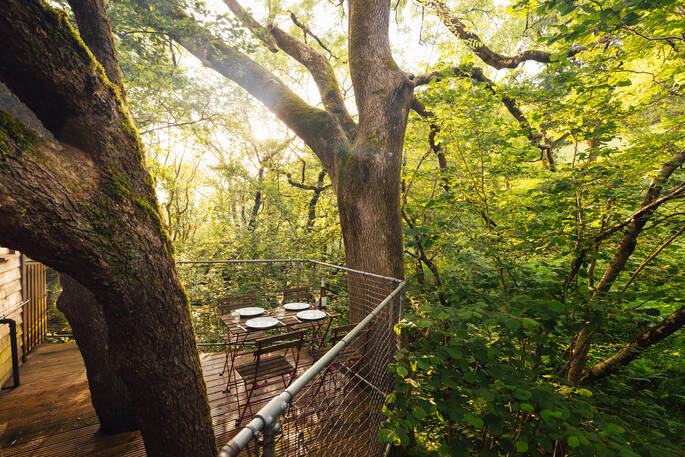 Nyth y Barcud Treehouse balcony in forest