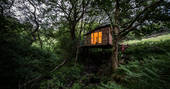 Treehouse at dusk 