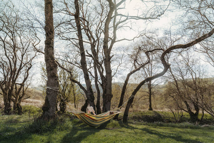 Hammock in the trees