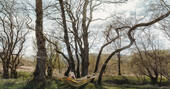 Hammock in the trees