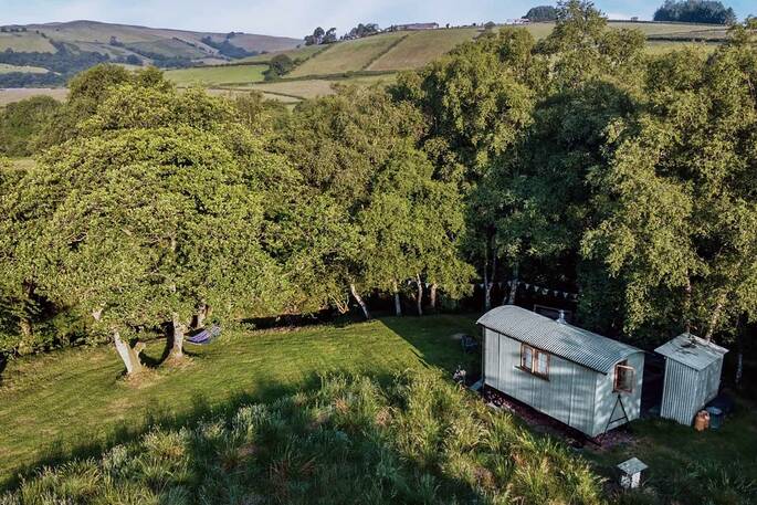 Hut tucked into the trees