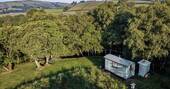 Hut tucked into the trees