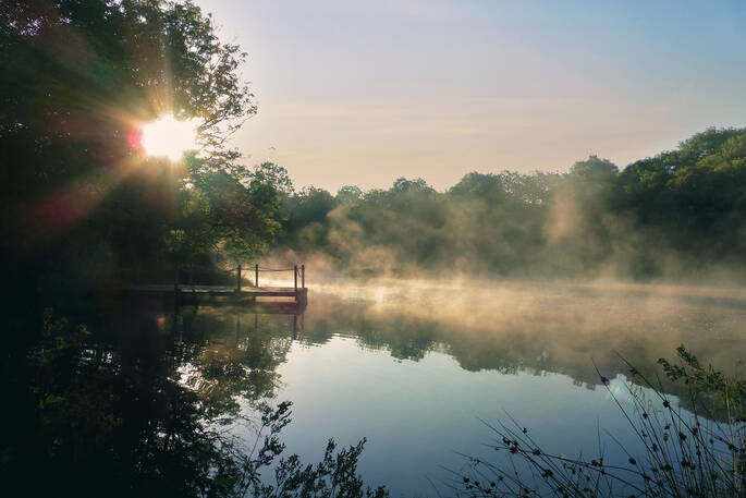 Mist on the water