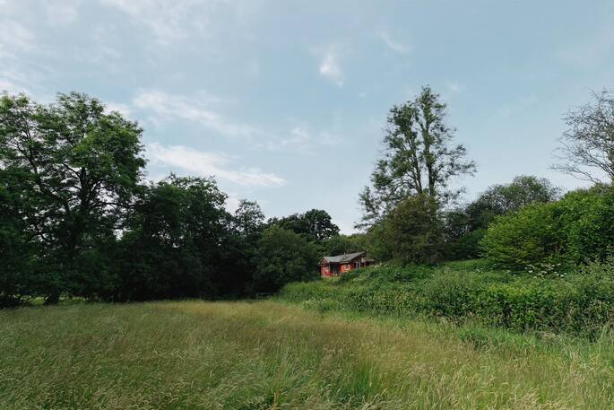 Area surrounding straw cottage