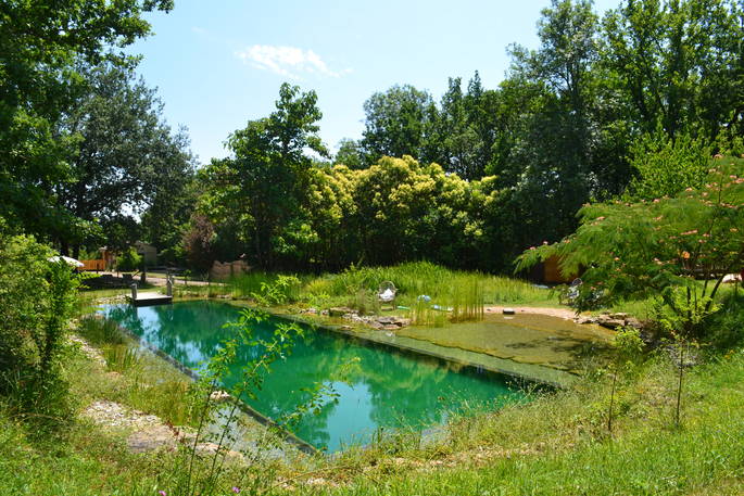 Outside shared pool at Le camp in France 